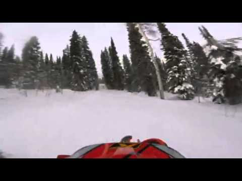 Timbersled ktm 520 sxf in the trees at speed  Brock Buttars  sx 137