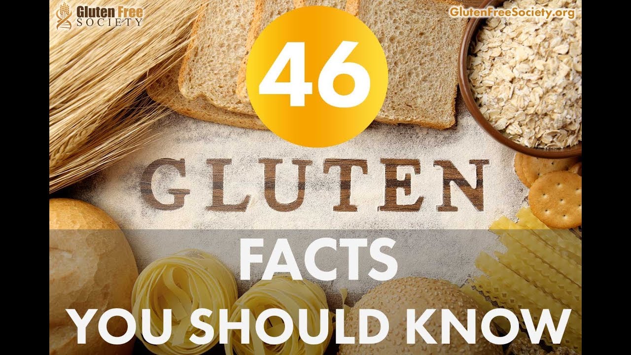 46 Facts About Gluten - YouTube