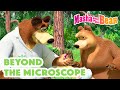 Masha And The Bear 2023 Beyond The Microscope ‍ Best Episodes Cartoon Collection