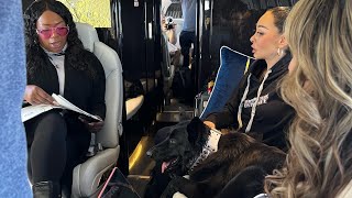 LanaLive Show preview EP 03 Morningstar Dynasty - Canine Chronicles series #1