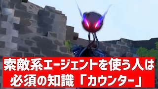 フェイド、ソーヴァなどを1回でも使う人は知っておくべき知識【ヴァロラント】【ソロレディアント経験者が解説】