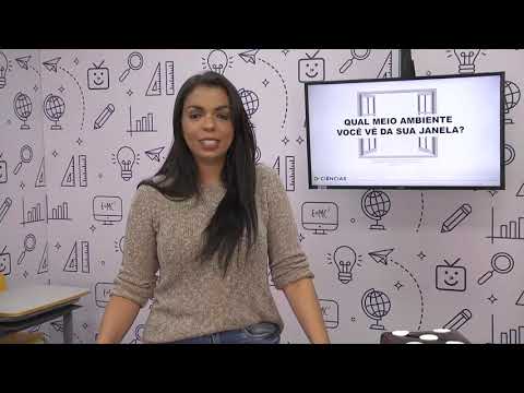 Ciências - 4.º ano - aula 17 - 20/08