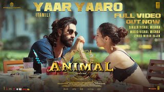 ANIMAL:Yaar Yaaro (Full Video) Ranbir KapoorTripti