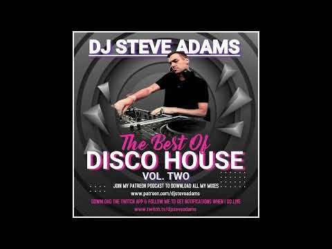 The Best Of Disco House Vol. 2