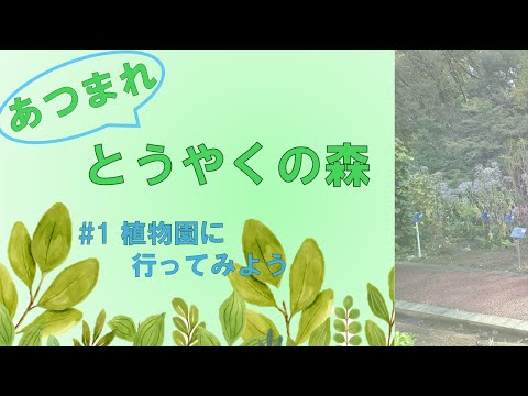 生命医科学科 あつまれとうやくの森 #1