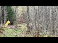 How To Play Hole 14 On A6 DiscGolfPark In Jönköping Sweden