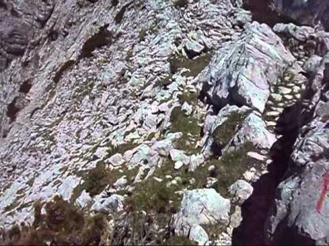 Video Logarska dolina