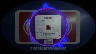 Cyboman - Moonflower (Dragonfly Remix) (Germany) (Trance) 1998