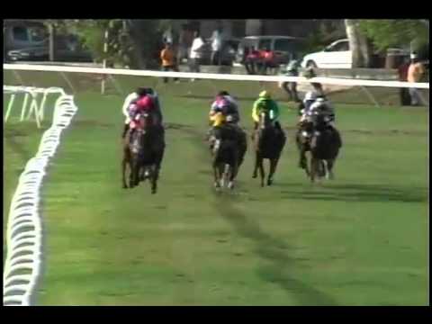 2014.07.05 Barbados Midsummer Creole Classic - Noble Intent