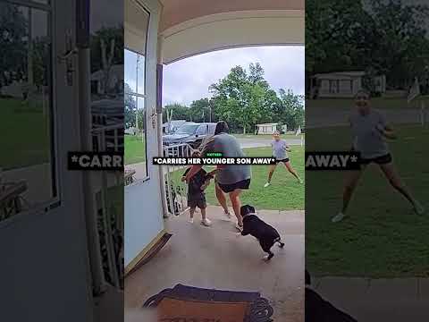 The Dog Brought Home a Surprise…