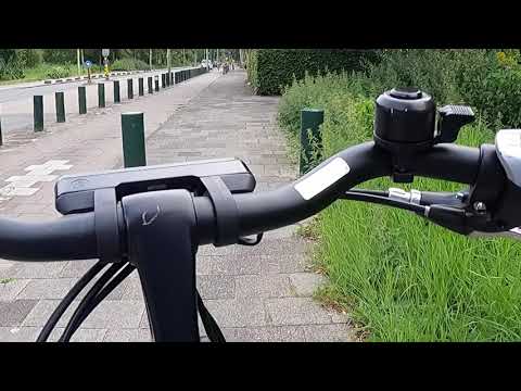 AMSTERDAM Du Beatrixpark au Botanische Tuin Zuidas