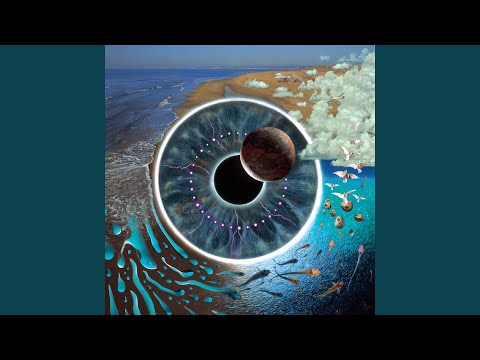 Comfortably Numb (Live)