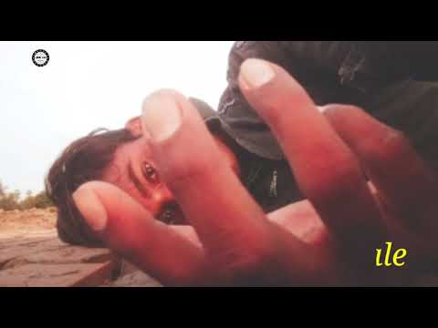 💕💕HUMANE 💕💕SEGAR 👧 JKS STATUS 💕143 I Love you 💕💕💕💕