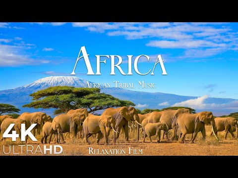 AFRICA 4K • Breathtaking Wildlife, Tribal Music - Relaxation Film - Nature 4k Video UltraHD