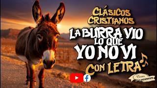 La Burra Vio