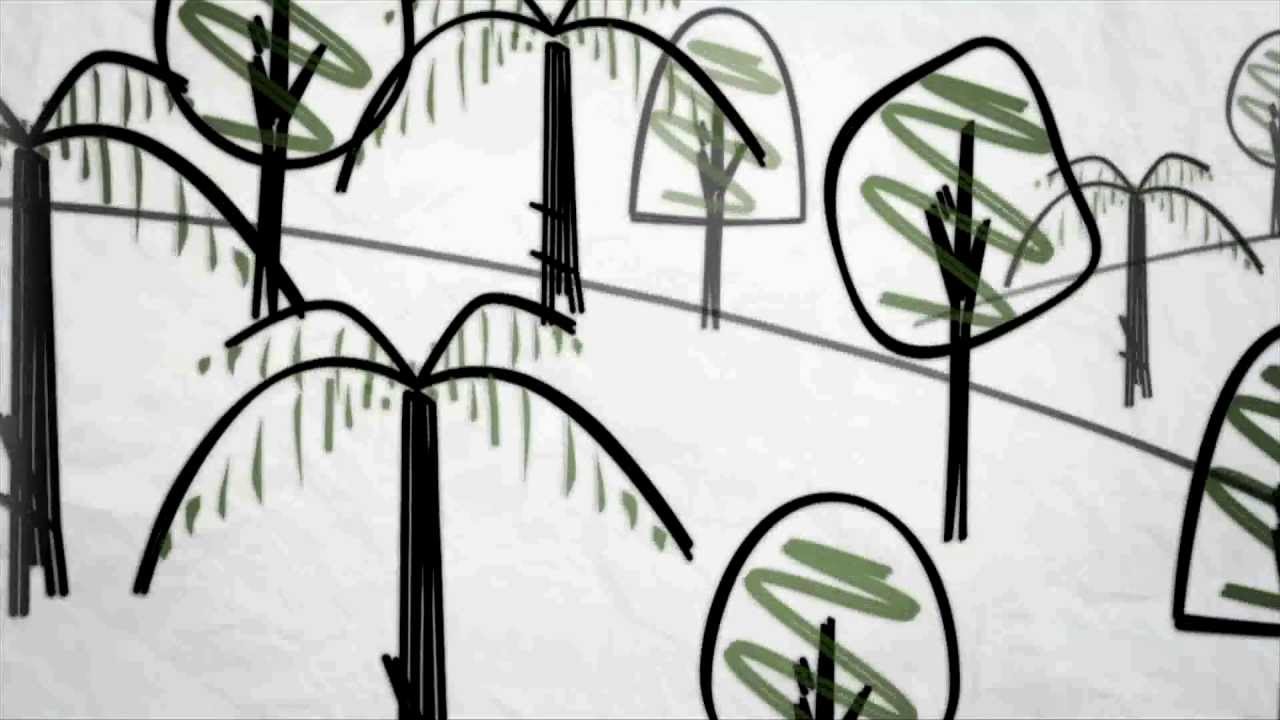 Animação Mudanças Climáticas Salvaguardas