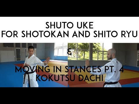 SHUTO UKE for SHOTOKAN and SHITO RYU - moving in stances 4 KOKUTSU Dachi - TEAM KI