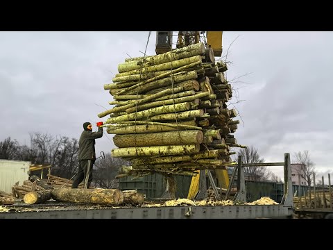 FINAL Highlights – BRUTAL Best Moments.