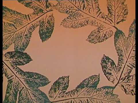 Křemílek a Vochomůrka - drak