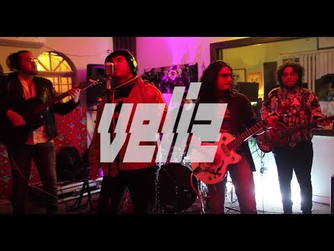 Simius GOLD live - Veliz