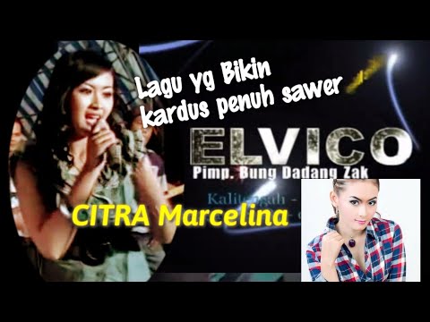 BOJOKU NAKAL,CITRA MARCELINA (cover)