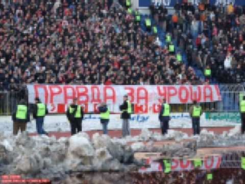 Marlon Brutal HCZ KCZ