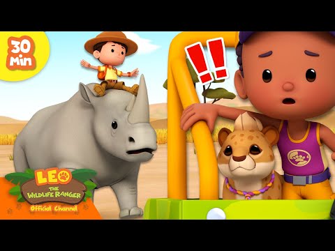 Witness21 Editor  2024 06 13