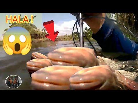 HALA ! JACKPOT! PAGPAPANA/ SPEARFISHING