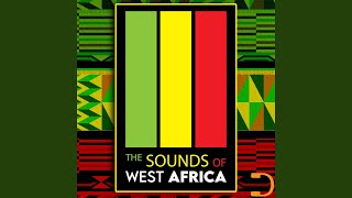 Rhythms Of The Rainforest