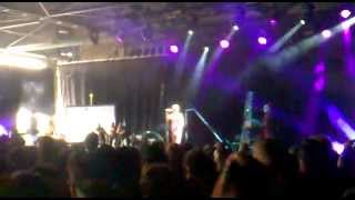 Das Ich - Das Dunkle Land - Live @ Meraluna- Festival- 2014