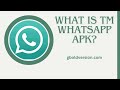TM WhatsApp APK Download V8 70 Latest Version For Android June 2024