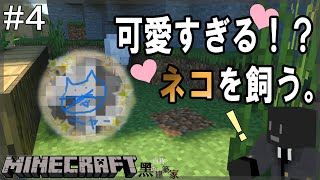 【RTXサバイバル生活】#4 猫が居れば無敵！？可愛さ抜群！ 【マインクラフト】