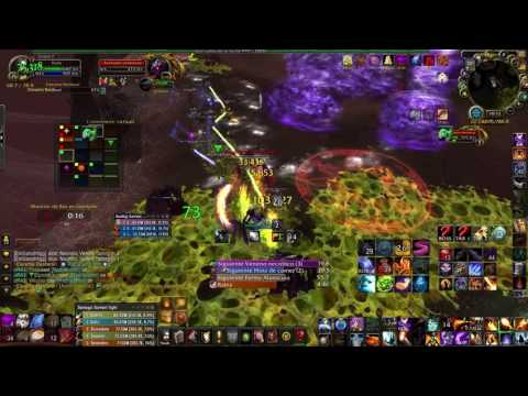 Amnesia vs Elerethe Renferal - Pesadilla Esmeralda Mítico