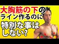 胸大胸筋下部のラインを作るのに特別なことはしない?デクラインプレスやケーブルフライは?