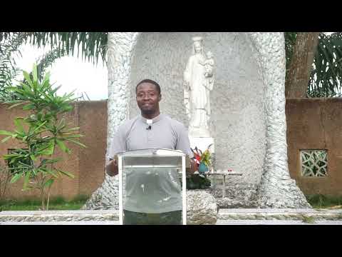 Évangile du jour du 7 août 2026