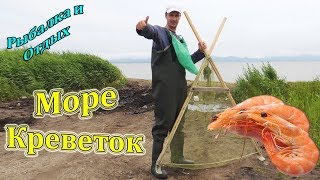Как ловить креветок на дальнем востоке