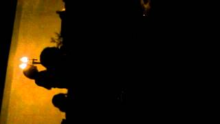 8 Foot Tall Man Walking Out Of The Forest-The Garden LIVE