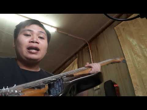 Bacchus 5 string pre-aguilar obp3 pu bartolini