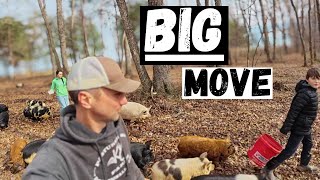 Epic Farm Day Moving Pigs To MASSIVE New Pen!