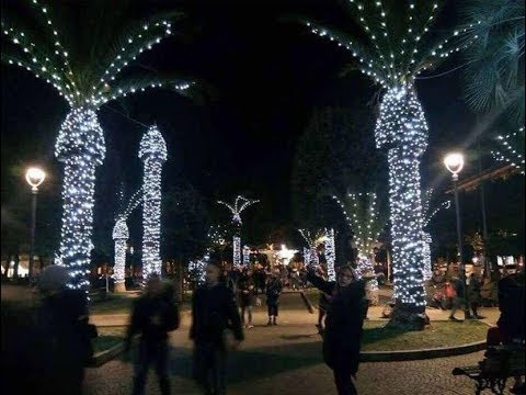 YouTube video about: Why you don t put christmas lights on palm trees?