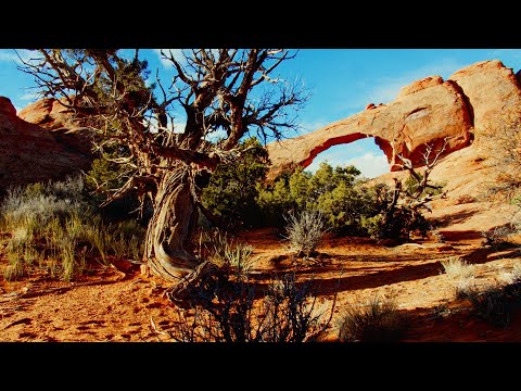 Brawni's Sonic Explorations // Arches National Park
