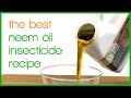 How to Make a Natural Neem Oil Insecticide