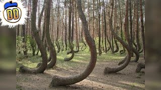 15 Things You Didn't Know About Earth