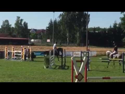 Cerano von Worrenberg - Ci Ci Senior Ask x Carpaccio - geb. 2011