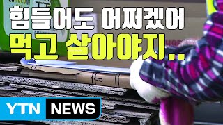 [자막뉴스] "고생해도 살아야지..." 한파 속 폐지 줍는 노인들 / YTN