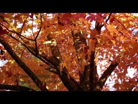 Ambient Emotions (Album)