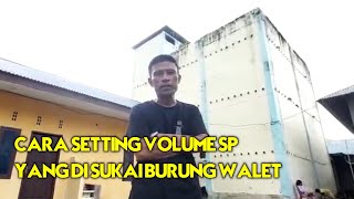 Download lagu CARA SETTING VOLUME SP YANG DI SUKAI BURUNG WALET||Walet Boby mp3