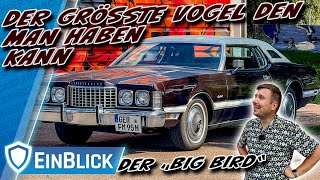 DONNERWETTER, so schön ist VERSCHWENDUNG! Ford Thunderbird Big Bird 1973 - Die fetten Jahre
