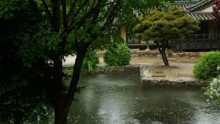 한옥 마당 정원 연못에 내리는 빗소리 ASMR, 대청마루에 앉아서