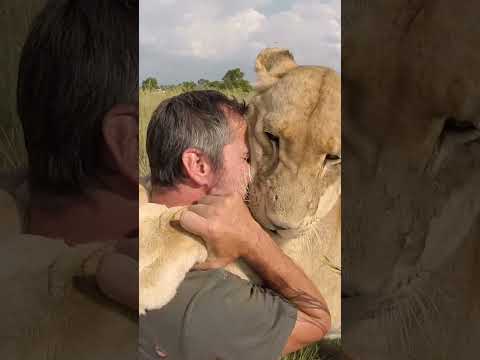 JUMPING LIONS! | The Lion Whisperer